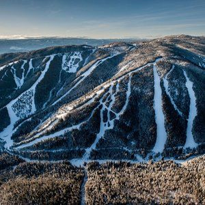 Meet your Posher, Silver